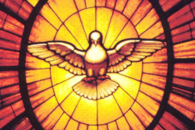 New cycle of Pope’s catechesis begins: The Holy Spirit and the Bride (the Church)