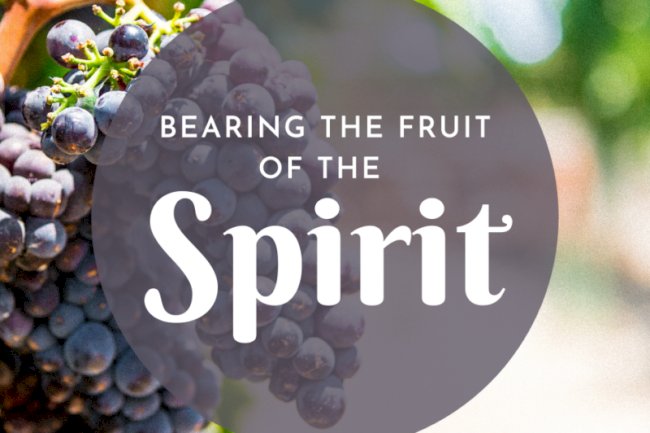 Signs of Renewal in the Church: Is It So In The Charismatic Renewal?