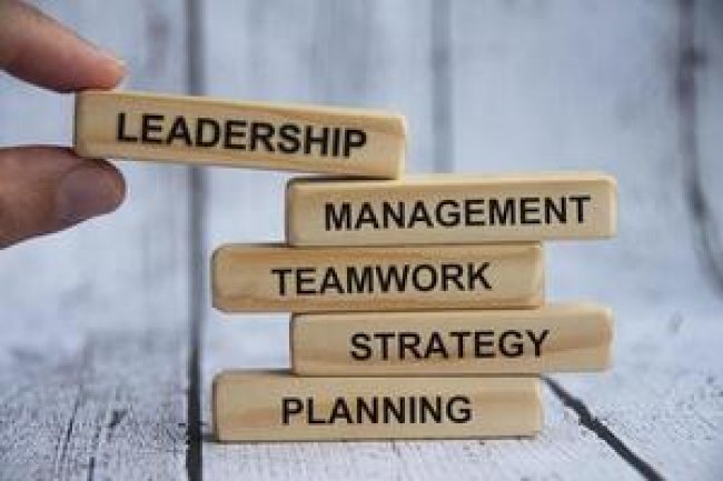 Collaboration in Leader-Follower Relationships: Danger of Cantankerous Followers