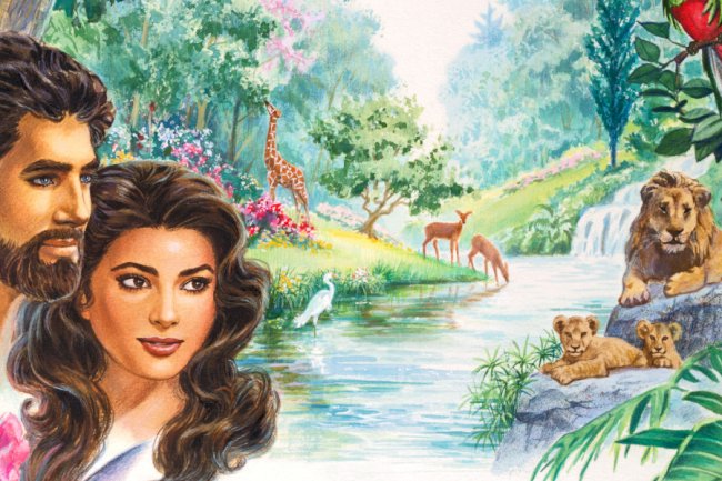 Significance of Let us make Man in our Image