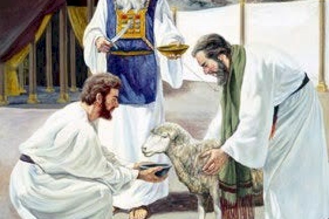 The Rational for Animal Sacrifice