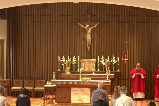 Why Only Priests Enter the Sanctuary