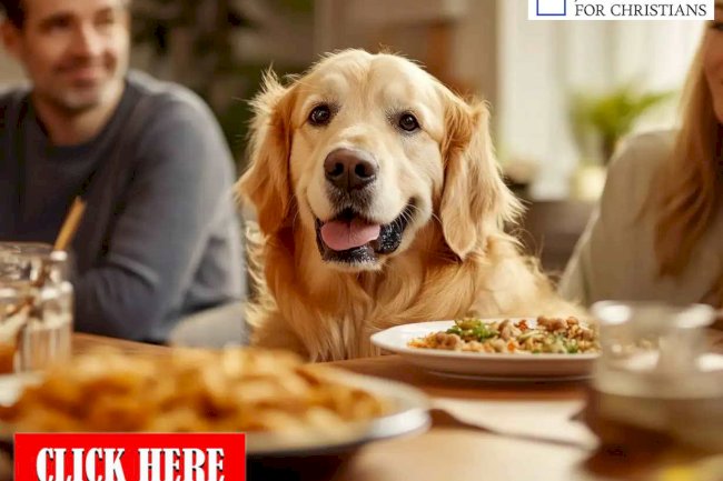 Why Jesus Called Gentiles Dogs?