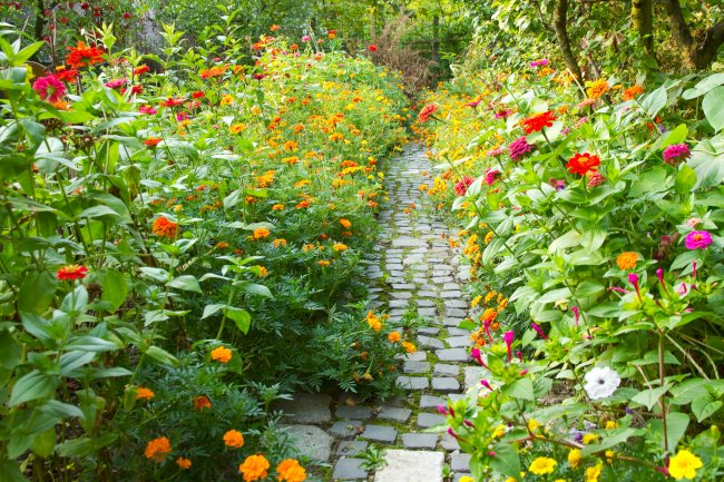 Cultivating the Garden of Our Souls
