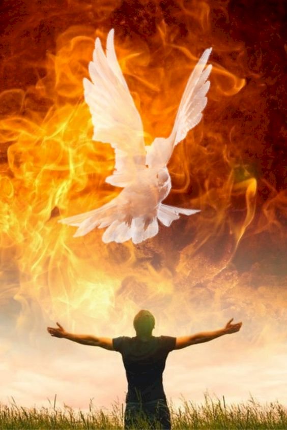 SPREADING LIKE WILDFIRE- IT'S LIFE IN THE SPIRIT SEMINARS