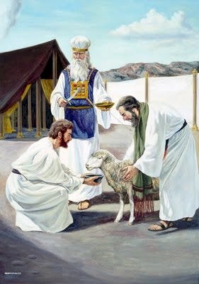 The Rational for Animal Sacrifice